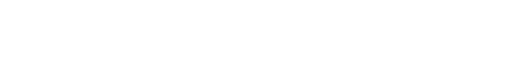 Flow Paragliders Logo